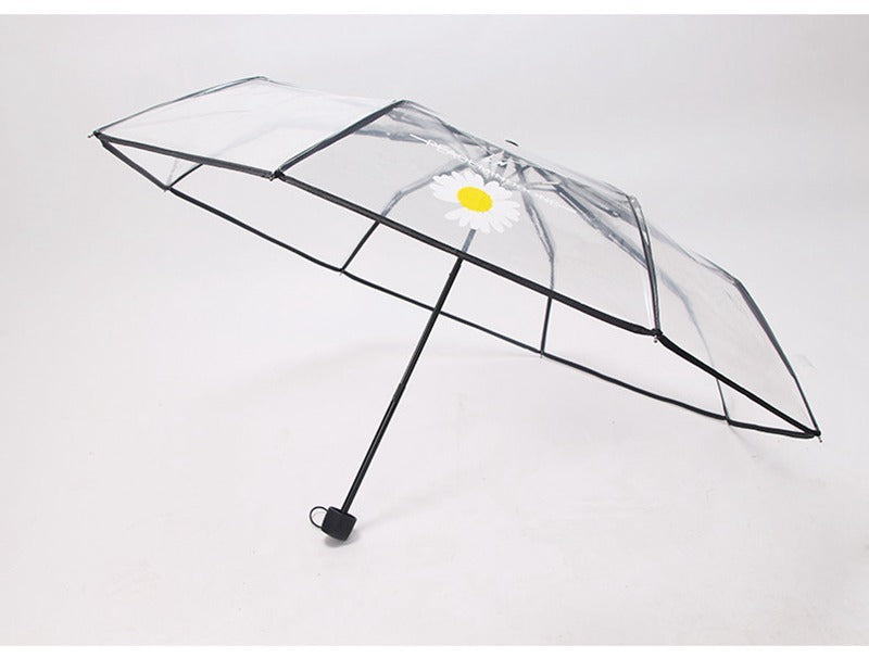 Transparent umbrella female folding umbrella