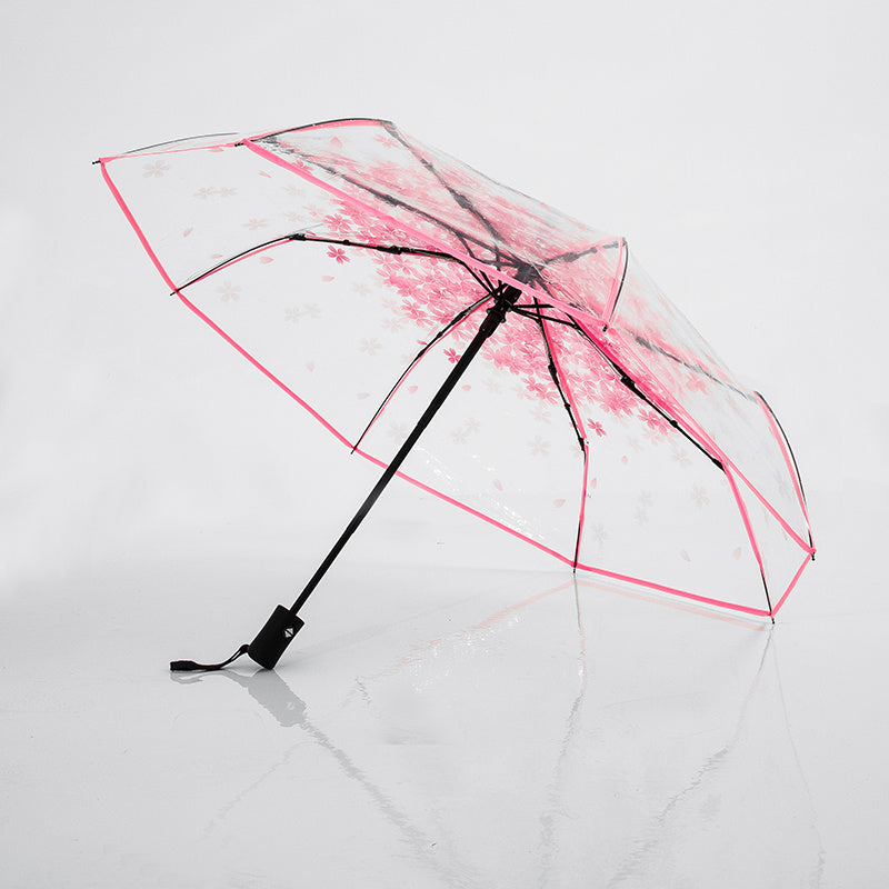 Transparent umbrella female folding umbrella