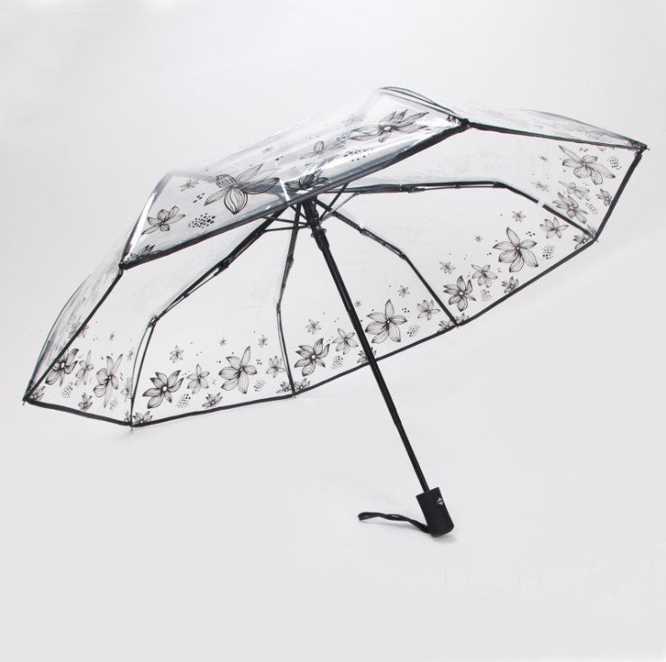 Transparent umbrella female folding umbrella