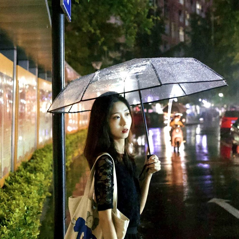 Transparent umbrella female folding umbrella